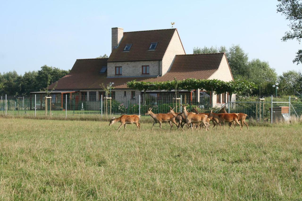 Villa 'T Leeg Huys Lo-Reninge Esterno foto